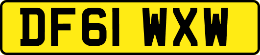 DF61WXW