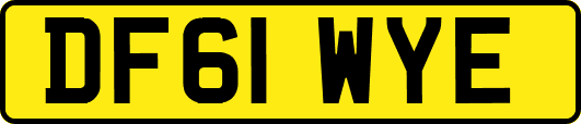 DF61WYE