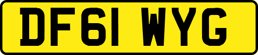 DF61WYG