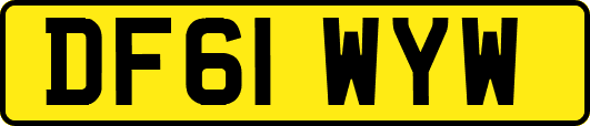 DF61WYW