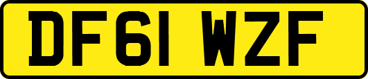 DF61WZF