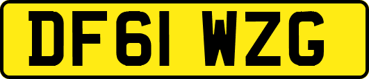 DF61WZG