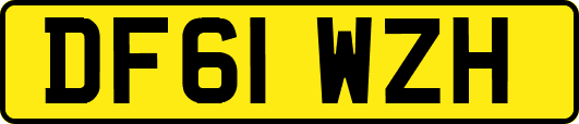 DF61WZH