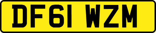 DF61WZM
