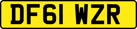 DF61WZR