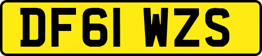 DF61WZS