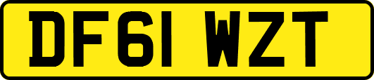DF61WZT