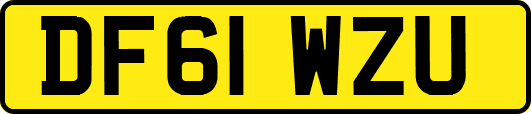 DF61WZU