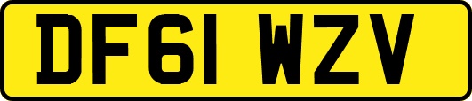 DF61WZV