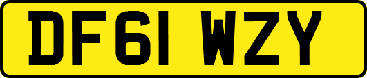DF61WZY