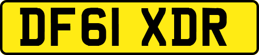DF61XDR
