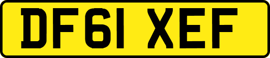 DF61XEF