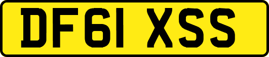 DF61XSS