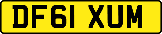 DF61XUM