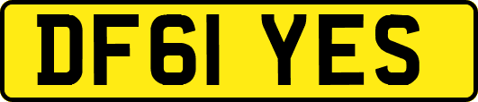 DF61YES