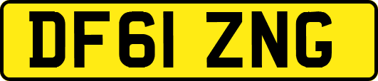 DF61ZNG