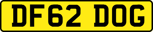 DF62DOG