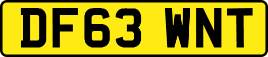 DF63WNT