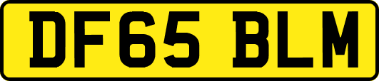 DF65BLM