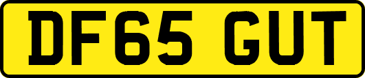 DF65GUT