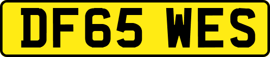 DF65WES