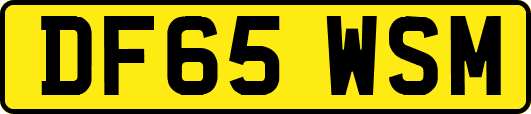DF65WSM