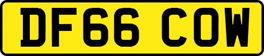 DF66COW