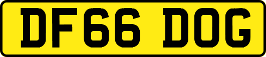 DF66DOG