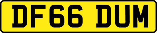 DF66DUM