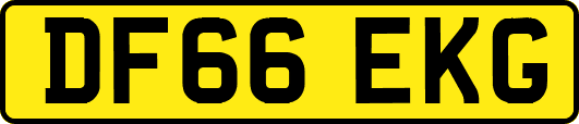 DF66EKG