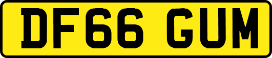 DF66GUM