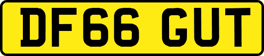 DF66GUT