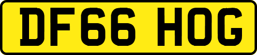 DF66HOG