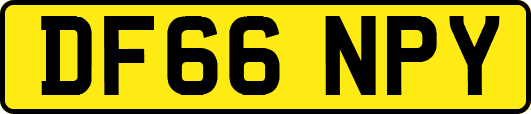 DF66NPY