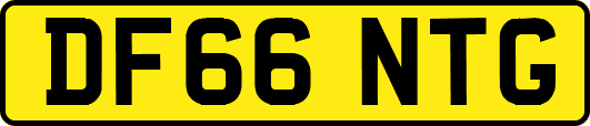 DF66NTG