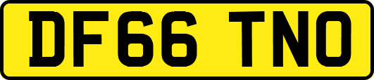 DF66TNO