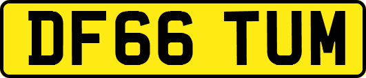 DF66TUM