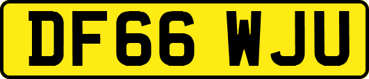 DF66WJU