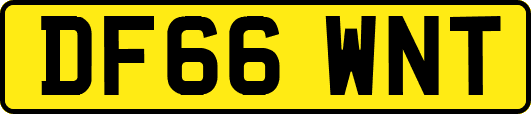 DF66WNT