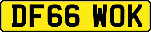DF66WOK