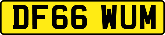DF66WUM