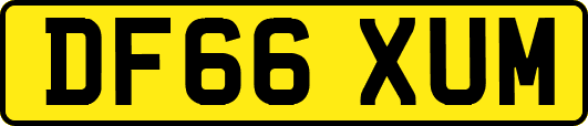 DF66XUM