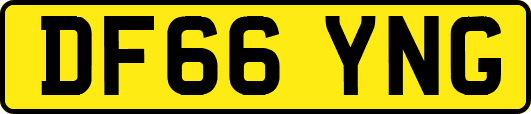 DF66YNG