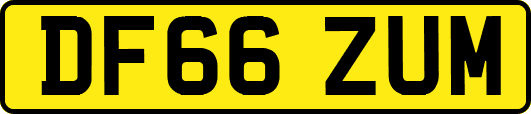 DF66ZUM