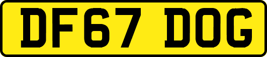 DF67DOG