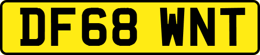 DF68WNT