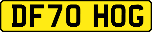 DF70HOG