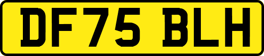 DF75BLH