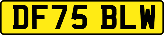 DF75BLW