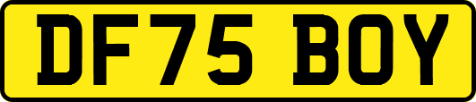 DF75BOY